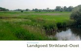 Landgoed Strikland-Oost · 2019. 6. 24. · In het voorjaar van 2009 is deze visie uitgewerkt tot een concept voor een inrichtingsplan. De visie, de voorgenomen ... 03-03-2011 110303