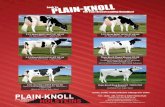 Plain-Knoll Holsteins · 2018. 4. 12. · Top GTP/ cow +2728 GTP/ Plain-Knoll Mogul Mariah VG-88 Top cow +2663 GTP/ Daughters currently in our IVF program Dam of King Royal (below),