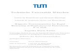Technische Universität Münchenmediatum.ub.tum.de/doc/1452485/document.pdf · 2018. 12. 4. · LOD Limit of Detection LFI Lateral ﬂow immunoassay MNC-SMIA Magnetic nancomposites-based