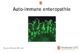 Auto-immune enteropathie - SKML · 2019. 3. 29. · • Enorm darmoppervlak (plooien, villi, microvilli) • Grootste immunologische orgaan • Duodenum: ‘voedselbrij’, hormonale