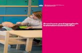 Brochure pedagogisch beleidsmedewerker Brochure pedagogisch beleidsmedewerker - 3 Inleiding Sinds 1 januari 2018 gelden nieuwe kwaliteitseisen volgens de Wet innovatie en kwaliteit