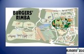 Rimba is Maleis voor bos. In het Nederlands kennen we het woord … · 2012. 10. 27. · Banteng • Verwilderd in Australie • Tot 800kg • (drogere) bossen en meer open gebied