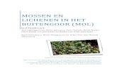 Studierapport 'Mossen en lichenen in het Buitengoor (Mol)' · 2021. 1. 27. · Deze uitgave ‘Mossen en lichenen in het Buitengoor’ (in Mol, België) was niet mogelijk geweest