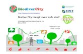 BiodiverCitybrengt leven in de stad! · 2019. 9. 16. · steden dan op het platteland • Door verstedelijking en concentratie van menselijke activiteiten staan de kwaliteit van de