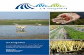 Colofon - Saline Agriculture, a practical solution to a global problem · 2020. 4. 9. · Zilt Perspectief Kennis en kansen voor teelt en verwerking van gewassen op zilte landbouwgrond