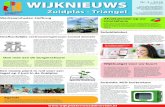 WIJKNIEUWS Nr. 3 • 2018 · 2020. 4. 22. · werweg (N207) met de hefbrug in Waddinxveen opnieuw ingericht. Dat duurt 6 weken en gaat gepaard met afsluitingen voor het doorgaande