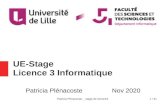UE-Stage Licence 3 Informatiqueplenacos/StageL3/Stage...Patricia Plénacoste _ stage de licence3 17 / 41 Stage de licence 3 Conseils / consignes : – Compter 50 demandes pour une