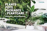 PLANTS POTS PACKAGES PLANTCAREatmossfair.be/Catalogus Interieurbeplanting 2020-2021.pdf · 2020. 7. 21. · infobrochure - catalogus 2020 - 2021 Maak elke ruimte aantrekkelijk voor
