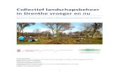Collectieven en landschapsbeheer in Drenthe: vroeger en nu...Ostrom vormen het belangrijkste uitgaanspunt voor het theoretisch model dat aan het einde van hoofdstuk twee omschreven