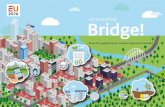 Bridge! - Europa decentraal · 2020. 10. 16. · samenvatting Bridge!- Betere EU-regelgeving voor lokale en regionale overheden | 9 Over Europa decentraal Europa decentraal: Europese