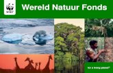 Wereld Natuur Fonds - Universiteit Twente · 2018. 4. 24. · WISE, Natuur&Milieu, Greenpeace en Consumentenbond beoordeelden leveranciers op vier bedrijfsonderdelen: •(des)investeringen
