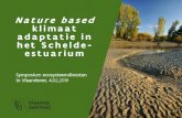 Nature based klimaat adaptatie in het Schelde- estuarium · 2019. 9. 4. · Samenwerken met natuur 1. VEILIGHEID Overstromingsrisico gedaald met 75% 2. NATUUR 14.000 ha aaneengesloten