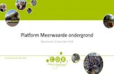 Platform Meerwaarde ondergrond - COB€¦ · 13/12/2018  · De wijk Meerwijk: 8.105 inwoners Oppervlakte 175 hectare - Waarvan land 142 hectare - Waarvan water 34 hectare - Bevolkingsdichtheid