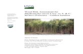 Weed Risk Assessment for Carr. ex A. & C. Rivière (Poaceae) – … · 2020. 2. 20. · Weed Risk Assessment for Phyllostachys aurea Ver. 1 (Original) July 17, 2012 3 1. Phyllostachys
