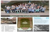 't Luutke - De Luttedorp. Onderaan het vaandel staat het jaartal 1931, want toen werd de Lutter afdeling van bouwvakkers opgericht. Na verloop van tijd vond deze “vakvereniging”