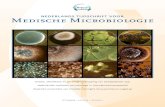 Nederlandse medische microbiologie in internationaal perspectief … · 2017. 9. 20. · Nederlandse medische microbiologie in internationaal perspectief ... YouTube en andere sites