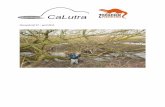 CaLutra 22 – Jaargang 16 (2012) – nummer 2...CaLutra 27 – april 2014 2 Colofon Deze nieuwsbrief is is een uitgave van de Bever- en Otterwerkgroep CaLutra, onderdeel van de Zoogdiervereniging.