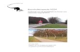 Boomholteinspectie N224 - De Zoogdiervereniging · 2019. 5. 8. · Huitema, H., 2007. Boomholteinspectie N224, Onderzoek naar de geschiktheid van bomen voor vleermuizen langs de N224.