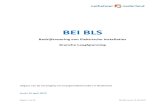 BEI BLS - NWB · PDF file 2019. 4. 13. · Pagina 6 van 61 BEI-BLS versie 15-04-2019 Voorwoord Korte geschiedenis van de BEI BLS Binnen Europa heeft het European Committee for Electrotechnical