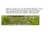Macrofauna in kwelmilieus van de Terrassenmaas en paleo- ecologisch onderzoek … · 2018. 4. 16. · paleo-ecologisch onderzoek in het Heulöerbroek (Nw. ... Alles uit dit rapport