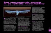Een verrassende vondst in de collectie microvlinders...Nieukerken 2011) wordt nog ver-meld: ‘Dutch records have been based on misidentification’ (van Nieukerken, pers. med.). Een
