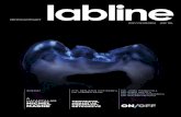 Labline Magazine · 2000. 8. 31. · JORDI MANAUTA & DR. ANNA SAL AT & 2013. TEL DR. ANGELO PUTIGNANO & DR. WALTER DEVOTO /OFF ON . TARTALOM A határtalan Michel Magne Egy jó termék