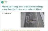 Herstelling en bescherming van betonnen constructies · 2020. 2. 21. · 562 Oppervlaktebeschermings-, afdichtings- of waterdichtingssystemen voor betonnen oppervlakken 563 Herstelmortels