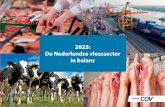 De Nederlandse vleessector in balans - COV 2025 De... · 2017. 3. 10. · van constante kwaliteit en dankzij mondiale handelsverdragen, een uitstekende diergezond heidsstatus en een