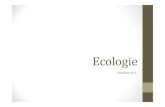 Ecologie ... De niveaus van de ecologie Relaties tussen organisme en milieu onderzoeken op vier niveaus.