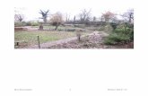 Het Steenuiltje 1 Winter 2014/’15 - IVN · 2017. 10. 28. · Bij de foto op de voorkant: het zicht oost-west laat zien hoezeer de tuin in de herfst is opengewerkt. Het Steenuiltje