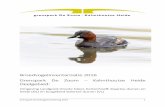 Broedvogelinventarisatie 2016 Grenspark De Zoom – … · 2020. 4. 15. · Eind 2016 werd het Voormeer en de Kleine Meer in kader van het Helvex-project volledig opgeschoond (ontdaan