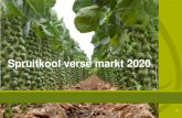 Spruitkool verse markt 2020 - Syngenta Belgie · 2019. 12. 9. · Knolvoetresistentie Knolvoet (Plasmodiophora brassicae) kan leiden tot grote schade in koolgewassen en kan meer dan