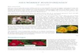 NIEUWSBRIEF ROZENVRIENDEN juli-augustus 2018.pdfpurperroze bloemen. Bij de beoordeling van geur van de rozen was de Ladies' Choice voor Stéphanie d'Ursel van Ann Velle. Het publiek