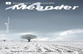 Meander - Natuurpunt Vlaamse Ardennen plusnatuurpuntvlaamseardennenplus.be/pdf/meander_2010_1.pdf · 2016. 1. 26. · 1 8ste jaargang nr. 1 jan-feb-maa 2010 Meander natuurpunt Vlaamse