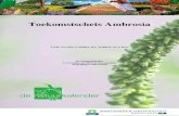 Ambrosia Toekomstschets eindrapport - NVWA · Toekomstschets Ambrosia 8 3 Verspreidingsgebied 3.1 Internationaal Ambrosia is een inheemse plant in Noord-Amerika. Tegenwoordig is de