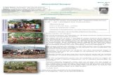 Winter 2014 Nieuwsbrief Sevapur · 2020. 12. 7. · verhoging van de levensstandaard en geletterdheid en afname van armoede, leven er in Tamil Nadu nog steeds meer dan 14 miljoen