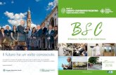 BCC Vicentino MK&C. - 2019 2020. 5. 21.آ  Soci BCC Vicentino - Bilancio Sociale e di Coerenza esercizio
