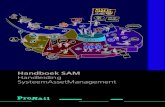 Handboek SAM Handleiding SysteemAssetManagementPR_Project-SAM_bw-hfst1-9.indd 5 21-09-12 13:25 ProRail Handboek SAM Assetmanagement bij ProRail en de plaats van SAM 6 Visie en beleid