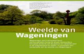 Weelde van Wageningenproefwageningen.nl/.../uploads/2012/12/Nieuwe-Veluwe.pdf · 2012. 12. 21. · 20 nieuwe Veluwe 4/12 nieuwe Veluwe 4/12 21 Laurens van der Zee is een veelzijdig