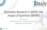 Biomarker Research in ADHD: the Impact of Nutrition (BRAIN) · 2019. 3. 25. · ADHD en voeding ADHD komt bij 5% van de kinderen voor •ADHD blijft bij 75% van de gevallen bestaan