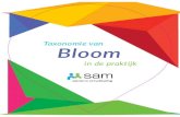 Taxonomie van Bloom - WordPress.comwerkt • Een handleiding • Een spel waarin je ideeën van het te bestuderen object naar voren laat komen • Een presentatie • Een demonstratie