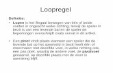 Home - Basketbal Vlaanderen - Loopregel · 2014. 12. 22. · –mag om een dribbel te beginnen de pivotvoet niet opgetild worden voordat de bal de hand(en) verlaten heeft. • Nadat