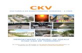CKV 4VWO groep Mkm...CKV 4 vwo 4 Evaluatie - P.T.A. praktische opdracht waarin ook kennis getoetst wordt (periode 1 - weging 1). Kunstbegrippen (beeldend, architectuur en film), de