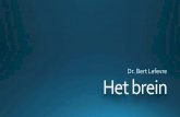 Dr. Bert Lefevre Het breinpuravida.homeopathy-antwerpen.be/wp-content/uploads/2018/...•darm, long, sinus, lyme, tandvlees •intoleranties •darminflammatie •Stress/Trauma •nutritionele
