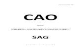 CAO-nummer SAG: 759) CAO - salaris-informatie.nl · Artikel 7 Rechtsopvolging van partijen bij deze CAO 10 Artikel 8 ... behorende werkzaamheden ter voorbereiding en nabewerking,
