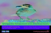 Vogels Voeren en Beloeren - Natuurpunttuinvogels.natuurpunt.be/downloads/vvb2009.pdf · 2012. 1. 13. · Vogels Voeren en Beloeren Tientallen vogels komen naar je tuin. Je kan ze