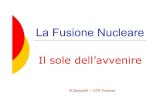 La Fusione Nucleare · 2003. 9. 19. · M.Samuelli – UTS Fusione. Statement di George W. Bush (30/1/2003) Ho il piacere di annunciare che gli Stati Uniti parteciperanno a ITER,un