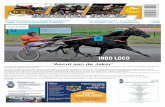 INDO LOCO RACES N°720... · 2019. 6. 7. · 4 NYMFCO (GB) FRANCOIS Stef VAN REYBROUC 57 8 F 4 ALZ Falco (usa) & Nymfia (ire) VAN REYBROUCK E Gros Bleu XStA&t bla m grbl 5 LAURA LUISA
