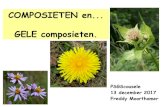 COMPOSIETEN en GELE composieten. - Plantenstudiegroep...COMPOSIETEN en... GELE composieten. Voorstelling van vereenvoudigde 'sleutel' tot de Composieten met GELE bloemen (buis- en/of