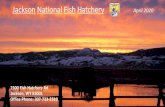JacksonNationalFish Hatchery April 2020 - FWS · 2020. 5. 14. · JacksonNationalFish Hatchery `. April 2020. 1500 Fish Hatchery Rd Jackson, WY 83001 Office Phone: 307-733-2510